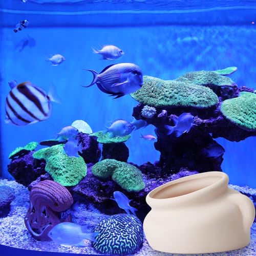 AnRui Pottery Jar Natural Fish Tank Decortation Aquarium Decor Betta Cave Hideout Ornament Accessories for Fish, Shrimp, for Fish Tanks of 5/10/15 Gallons, Beige