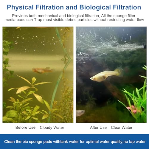 Replacement Canister Filter Pads Compatible with AMOSIJOY、Pondforse、Coospider-repta 172/225/265GPH Aquarium External Filter, 6 White Floss and 2 3-in-1 Coarse Filter Pads with activated carbon- 8PCS