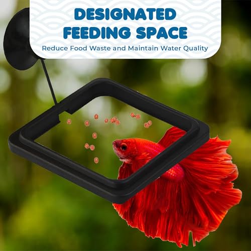 SunGrow Fish Food Feeding Ring, Stop Water Turbulence from Washing Food & Floating Plants into Filter, Suitable for Flakes & Floating Fish Pellets, for Goldfish, Guppy, Neon Tetra, Betta, 1 Piece - size: 1 Piece
