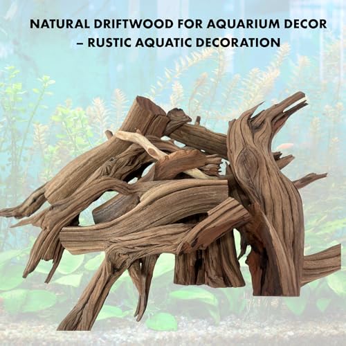 Koyal Wholesale Natural Driftwood Decor Vase Fillers 2.2-Pounds, Aquarium Wood Untreated California Manzanita Drift Wood Fish Tank Decor, Driftwood Pieces for Crafts, Assorted Reptile Wood Branches - size: 2.2LB