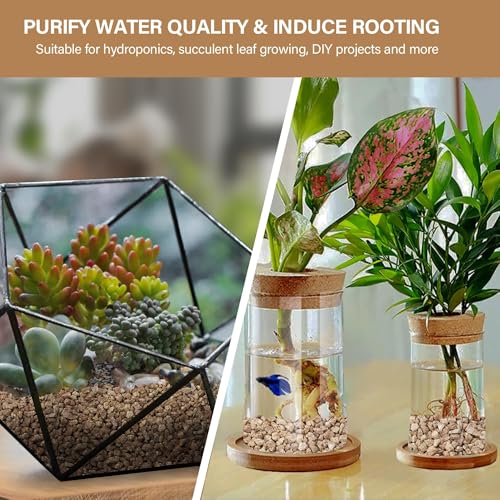 3lb Maifanitum Stones for Succulent, 1/8"-1/4" Golden Pea Gravel for Cactus, Small Pebbles for Indoor Plants Soil Covers, Decorative Rocks for Bonsai, Vases Fillers, Aquarium, Top Dressing - color: Gold, size: 3 Lb