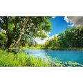 Tranquil Lake Aquarium Background Picturesque Springtime Green Forest Fish Tank Background Stunning Summer Mountain Woodland Terrarium Backgrounds Scenic Lake Blue Sky Reptile Tank Backgrounds 24x12in - color: Warm Green, size: 24(W)x12(H)in