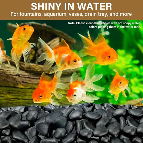 3lb Black River Rocks for Plants Indoor, 1-2Inch Pebbles for Vases Fillers, Decorative Gravel for Fish Tank, Natural Polished Stones for Succulent, Bonsai, Landscaping, Bird Baths - color: Black, size: 1-2"-3lb