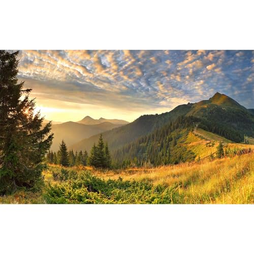 Sunset Mountain Landscape Aquarium Background Panoramic Mountain Valley Fish Tank Background Majestic Cloudy Blue Sky Pine Forest Terrarium Backgrounds Foggy Woodland Reptile Tank Backgrounds 24x16in - color: Brown_Green, size: 24(W)x16(H)in