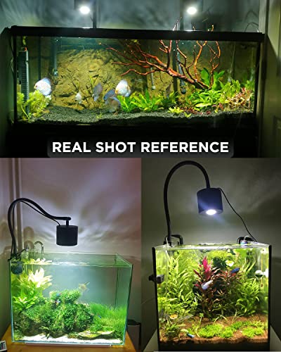 Lominie Aquarium LED Light 10 Gallon Fish Tank Light Timer Clip on Aquarium Lamp Full Spectrum 85W 6500k for Freshwater Refugium Cube Tank with Gooseneck - color: A120 Freshwater