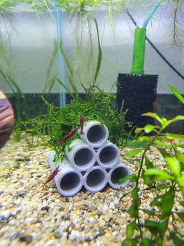 Aquarium Shrimp and Fish Habitat Tubes - Shelter Accessories (Clear)