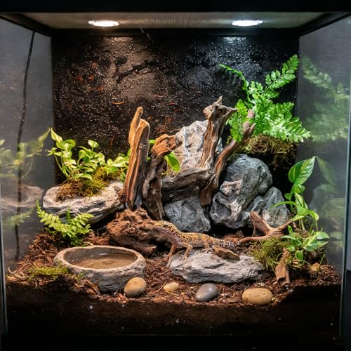 emours Natural Driftwood Small Aquarium Driftwood, 46", Natural Twisted Branches, Low-Tannin, Great for Shrimp/Betta & Nano Aquascapes, Also for Reptile Terrariums (5pcs Pack)