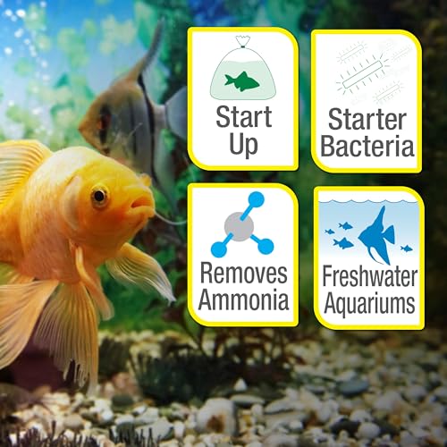 Tetra SafeStart Plus, For Newly Set-Up Fish aquariums, 100 ml, 3.38-Ounce - size: 100 ml, 3.38-Ounce