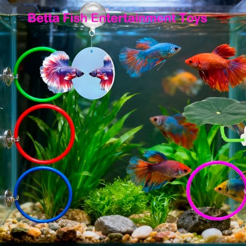 11pcs Betta Fish Enrichment Toys Fish Hideout Exercise Rings Floating Mirror Balls Tank Feeding Rings Training Ring Feeder Hammock Acrylic Tube Resting Breeding Tunnel Spot Aquarium Decor Accessory