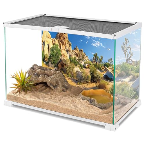 AWERT 60x24 inches Reptile Habitat Background Stone Blue Sky Oasis Cactus Sun and Desert Terrarium Background Polyester Background - size: 60x24in/150x60cm