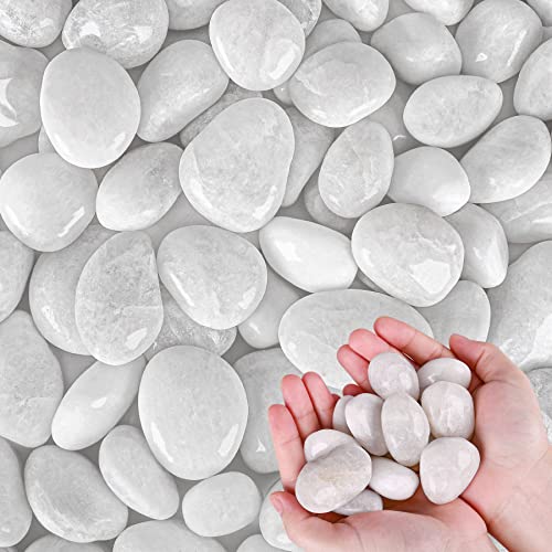 White River Rocks for Plants 11.25 LB Small Decorative Pebbles 1"-1.5" Polished Stones Smooth Aquarium Gravel for Fish Tank Vases Indoor Planters Outdoor Landscaping Garden (180oz) - size: 11.25 LB (180oz), style: White