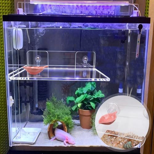 Axolotl Hammock Ledge for Aquarium with Feeding Dish Ceramic Tray Suction Cup and Feeding Tweezer Axolotl & Bearded Dragon Aquarium Accessories Kit (7.8 x 3.9in)