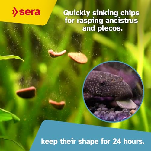 Sera Pleco Chips 13.4 oz./0.84lbs | Premium Fish Food for Ancistrus & Plecos | High Fiber | No Dyes & Preservatives | Supports Digestion & Promotes Healthy Growth | Ideal for Bottom Feeders - size: 13.4 Ounce (Pack of 1)