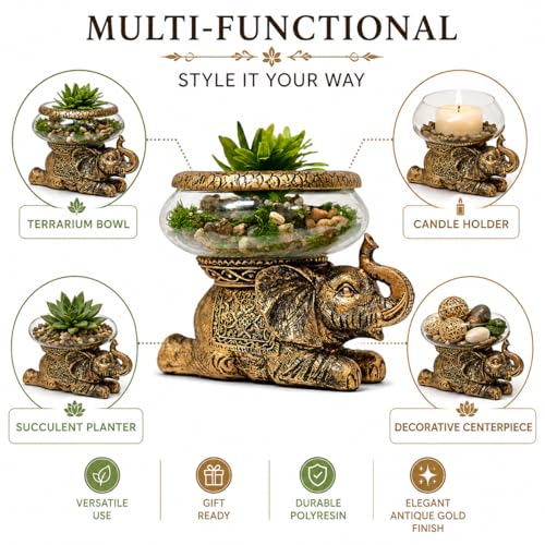 Good Luck Elephant Terrarium Bowl – Antique Gold Elephant Figurine with Removable Glass Bowl, Succulent Planter, Candle Holder, Air Plant Display & Zen Home Décor Accent