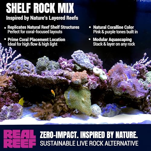 Shelf Rock, Mini 6–10" (15-Pack, 20 lb Box) - Artificial Live Rock for Saltwater Aquariums, Reef-Safe Nano Shelf Pieces for Coral Platforms & Aquascapes
