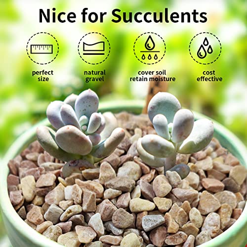 FANTIAN 2 lbs Pea Gravel - 3/8 Inch Small Pebbles Rocks for Indoor Plants, Succulents, Cactus, Fish Tank, Terrarium, Landscaping and Decorative Stones(32 oz, 6-9 mm) - color: Peach Gravel
