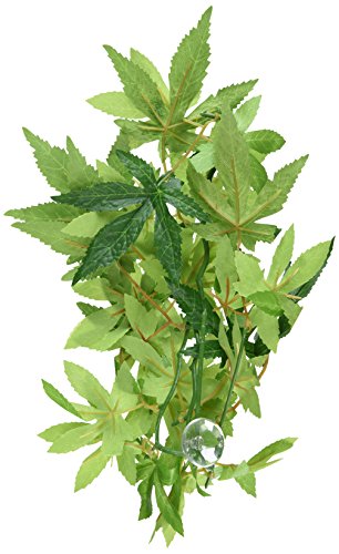 Hagen Exo Terra Silk Terrarium Plant, Small, Abutilon (Pack of 2) - size: Small (Pack of 2)