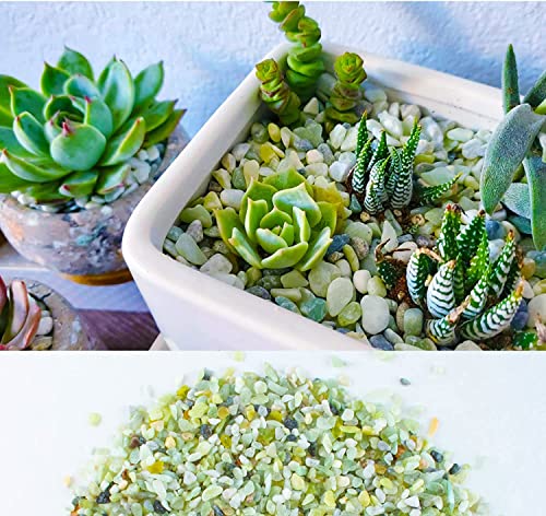7lb Jade Bean Pebbles,1/4 Inch Cactus Bonsai DIY Rocks, Natural Succulent Rock and River Rocks Decorative for Aquariums, Vases, Terrarium, Outdoor Gardening, Top Dressing for Potted Plants - color: Light Green, size: 7LB