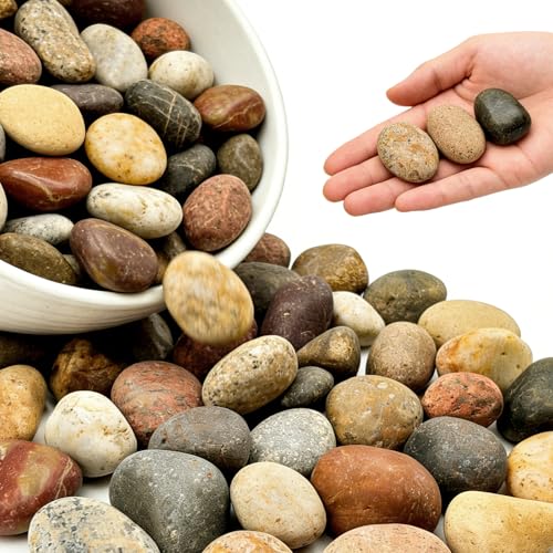 2-3 Inch Mixed Round Pebbles, Smooth River Rocks for Rock Painting, Planters, Vase Filler, Fish Tank, Aquarium Decor & Garden Landscaping, 12LB - color: 12LB, size: 2-3inch