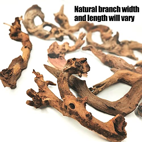 Hamiledyi Aquarium Driftwood 10 PCS Natural Wood Driftwood Branches Fish Tank Habitat Decor Sinkable Reptile Tree Log Decorations Assorted Terrarium Ornament for Aquarium Fish Reptiles Tank Small