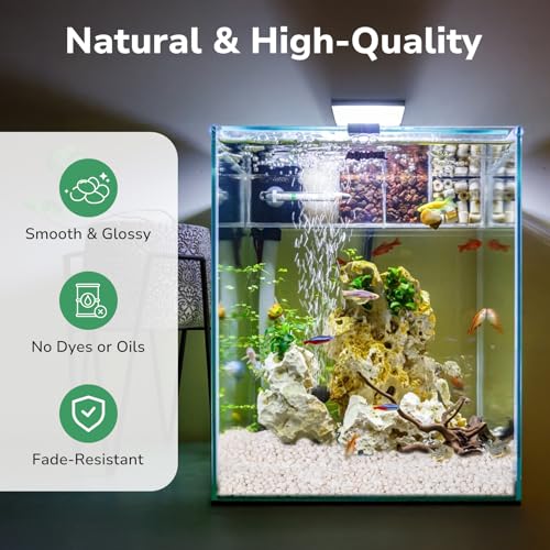 GreatBuddy 5-lb Decorative Rocks for Indoor Plants, 3/8" White Pebbles, Small Rocks for Potted Plants, Succulent, Vases, Aquariums, Fish Tanks, Garden Landscaping, Natural Polished - color: White-5lb, size: Medium-3/8 Inch
