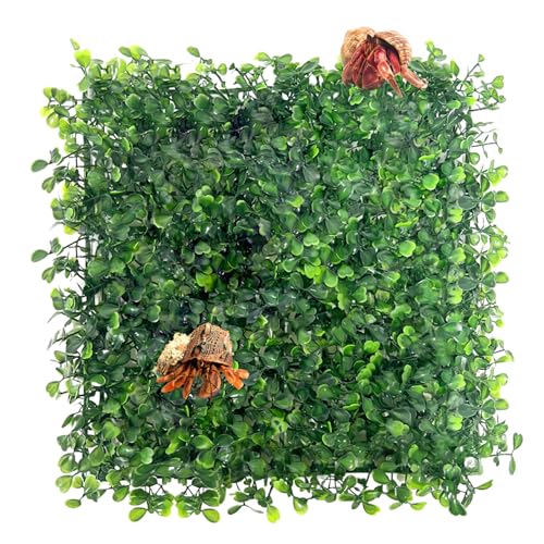 FMOACEN Hermit Crab Climbing Toys, Plastic Simulation Grass Aquarium Tank Decoration with 4 Suction Cups, Green Plants Supplies Fake Turf, Accessories for Reptile 10 x 10 Inch - color: 1 Pack