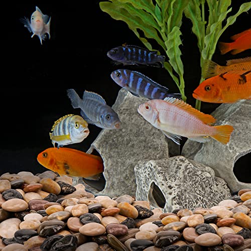 Natural Polished Pebbles, 1.5-2 Inch Decorative Mixed Color Stones Aquarium Gravel River Rocks for Vase, Succulents, Landscaping and Home Decor (5-lb Bag) - color: Mixed Color, size: 1.5-2 inch, 5 lb