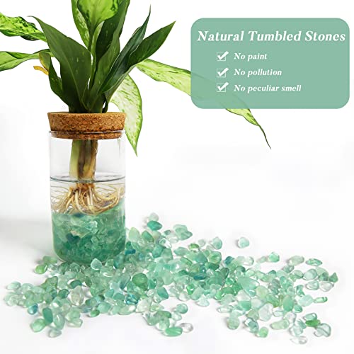 QICQDRAM Natural Green Flourite Crystals Bulk 0.9 Lb/405g Small Tumbled Chips Crystal Stone Decorative Pebbles for Home Decoration & Fish Turtle Tank, Vase Filler, Plants Decor - color: Green Flourite