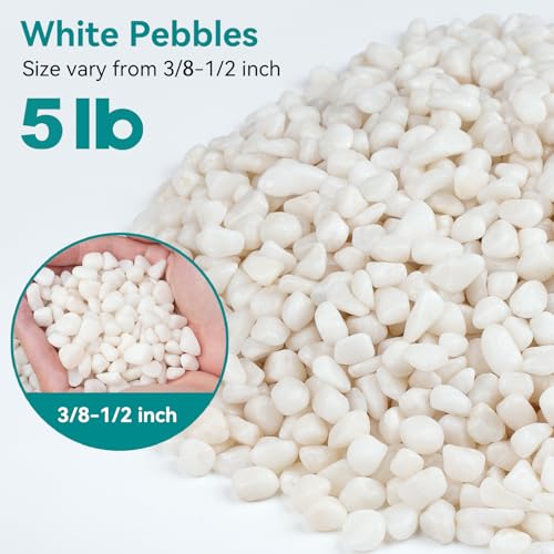 5 lbs Small White Rocks for Planters, 3/8" White Pebbles for Vases, Decorative Small Stones for Plants, Succulents, Bamboo, Terrarium, Landscape, Garden - color: White