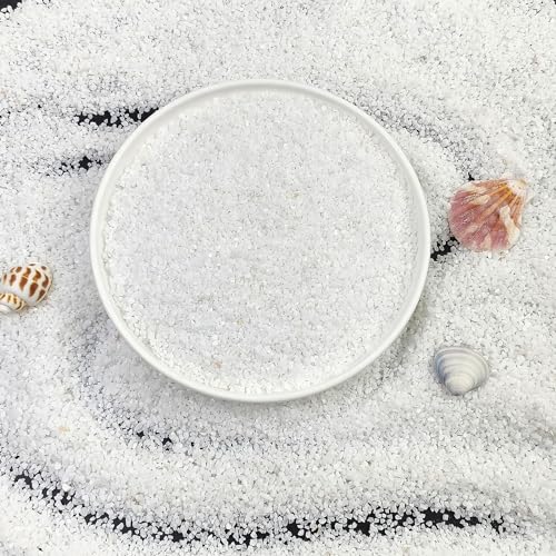 FANTIAN 5 lbs Aquarium White Sand, 0.8-2 mm Mini Aquarium Gravel. Coarse Sand for Fish Tank, Paintings, Succulent Plants Potted, Fire Pits, Candle, Vase Filler and Crafts - color: White, size: 5 LB