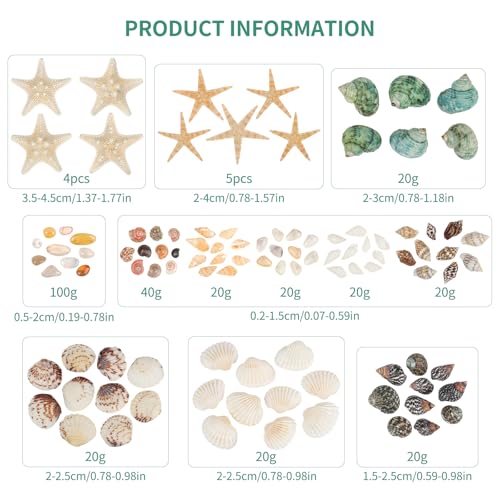 Fangoo 1500 Pieces Small Sea Shells Conch Natural Starfish Mixed Agate Pebble Stone for DIY Crafts Tiny Seashells for Vase Filler Candle Making Home Decor Wedding Beach Ocean Party Decorations