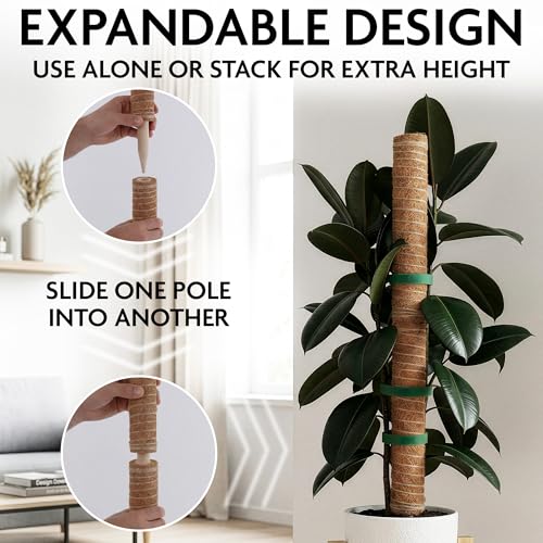 2 Pcs Moss Sticks for Indoor Plants Climbing with Coconut Fiber and Plant Tie Tape - 15.75 Inch Stackable Small Moss Pole for Monstera, Pothos, Philodendron, Money Plants & Indoor Houseplant Vines