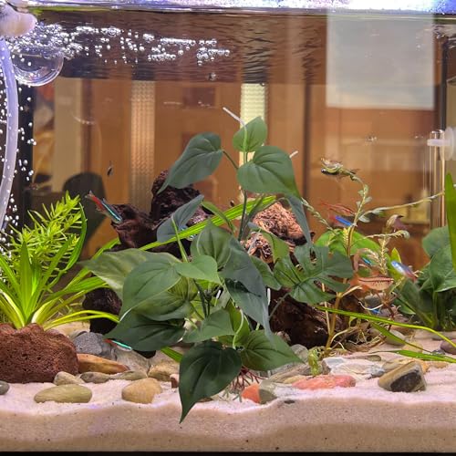 M2cbridge Fish Tank Plastic Soft Grass Artificial Betta Water Plants Decoration Goldfish Hide 12" (Tall Anubias 2pcs) - color: Tall Anubias