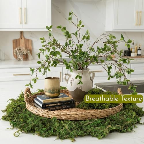 BYHER Fake Moss 4OZ - Moss for Crafts and Indoor Plants, Realistic Artificial Green Grass for Fairy Garden, DIY Projects, Potted Plants, Table Centerpieces, Wedding Decor (Realistic Green)