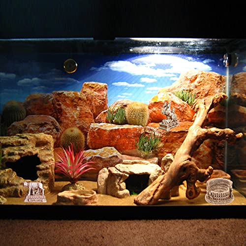 Ancient Rome Aquarium Fish Tank Decorations Decor (Set of 3) Colosseum Warrior Statue Sculpture Reptile Turtle Lizard Spider Tanks Terrarium Ornament Pet - color: Ancient Rome a