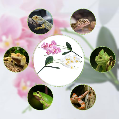 2 Pcs Artificial Phalaenopsis Orchid with Suction Cups - Pink & Red Reptile Terrarium Plant Decor, Lifelike Plastic Hanging Vine for Aquarium Snake Gecko Hermit Crab Habitat Decoration