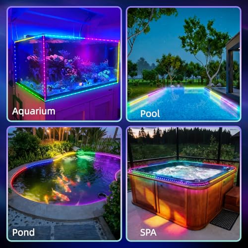 12V RGB+IC Dream Color Chasing Aquarium LED Strip Lights, 16.4FT APP & Remote Control IP68 Fully Waterproof Fish Tank Led Strip Light for RV, Marine, Deck Patio, Pool, Pond, Balcony - size: 16.4FT