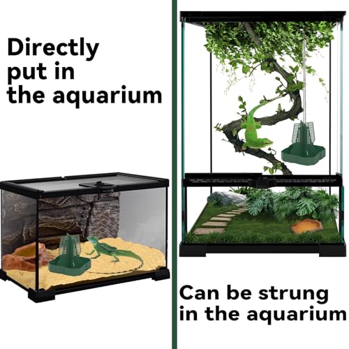 Chameleon Feeder+Bearded Dragon Feeder for Mounted Insect with Rope and Tweezers, Tank and Aquarium Accessories for Lizard, Bearded Dragon, Gecko, Frog（Medium） - size: Medium