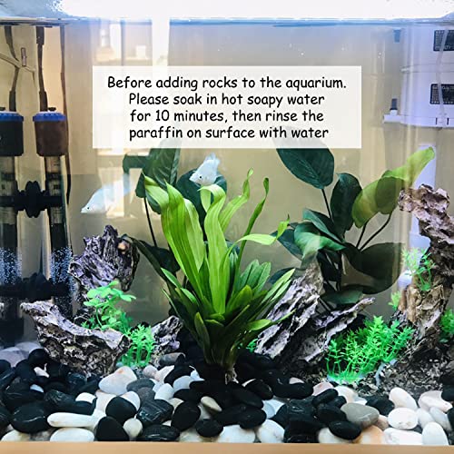 FANTIAN 2 lbs Black Pebbles for Indoor Plants, 1-2 Inch Small Bag Black Stones. Decorative River Rocks for Plants, Landscaping, Vase Fillers and Outdoor Garden - size: 1-2 inch, style: 2.0 Pounds