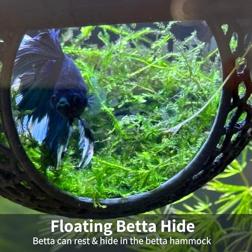 2 PCS Floating Betta Hammock,Betta Fish Tank Accessories, 3D Printed Aquarium Decor Floating Betta Hide with Feeding Ring Safe Resting Spot for Stress-Free Fish Tank(Black)