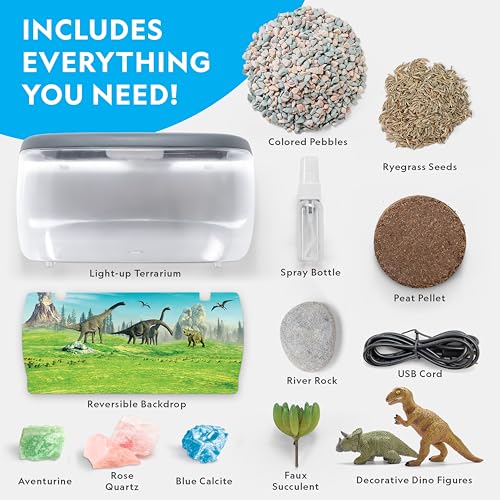 National Geographic Light Up Dinosaur Terrarium Kit for Kids – Build a Dino Habitat with Real Plants & Gemstones, Night Light, Science Kit, Dinosaur Toys for Kids Ages 6 7 8 9 (Amazon Exclusive) - style: Large Dino Habitat