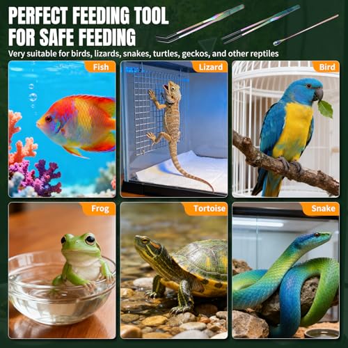 3 Pack Stainless Steel Reptile Feeding Tongs, 10.6" Straight & Curved | Rubber Tip and Spoon, Tweezers for Aquariums & Crafts, For Bearded Dragons & Lizards, Terrarium Tank Supplies