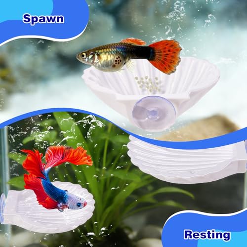 2pcs Betta Fish Shell Hammock, Large Aquarium Hammock Shell with Suction Cup, Shells Betta Resting Spot, Aquarium Decorations Accessories (White) - color: White