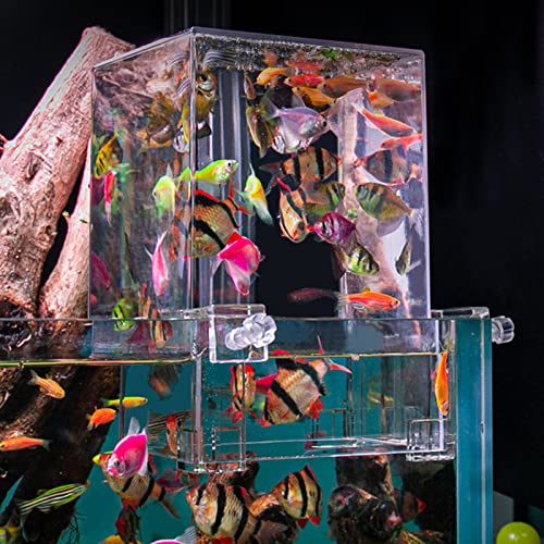 Fish Breeder Box for Fishtank Acclimation Hatchery Incubator Landscaping Aquarium Tank Hatchery Incubator Breeding