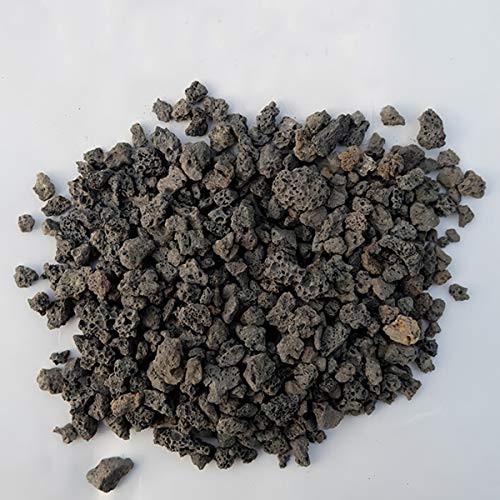 TOYPOPOR 6lb Black Lava Rock for Plants, Natural Horticultural Volcanic Grit, Cactus Succulents Bonsai Stones, Crushed Potting Gravel for Drainage Planter, Terrarium Decor, Gardening Soil Additive - color: Black Horticultural Lava Rock, size: 6 lb