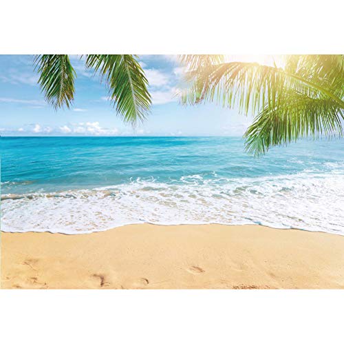 Leowefowa 3x2m Sea Beach Backdrop Seaside Sand Beach Sea Wave Tropical Palm Leaf Photography Backdrops for Photo Shoots Holiday Party Adult Personal Portrait Photo Background Studio Props - size: 10x6.5ft