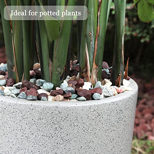 5lbs Natural River Rocks, Polished Pebbles for Plants Garden, 1-2 inch Decorative Countryside Stones, Ideal for Fish Tank, Vases, Crafting, Garden Landscaping Rocks,Countryside - size: 5 Pounds, style: Idyllic