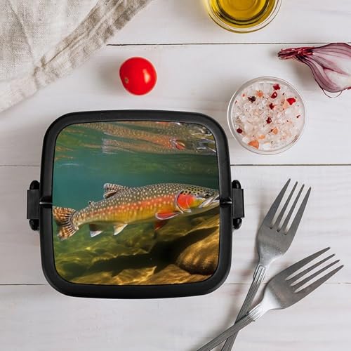 Brook Trout Fly Fishing Lunch Box Snack Containers with Lids, 2 Compartment Snackle Box Container, Leak-Proof Reusable Food Storage Container for Travel, Meal Prep, Camping, 1000ml