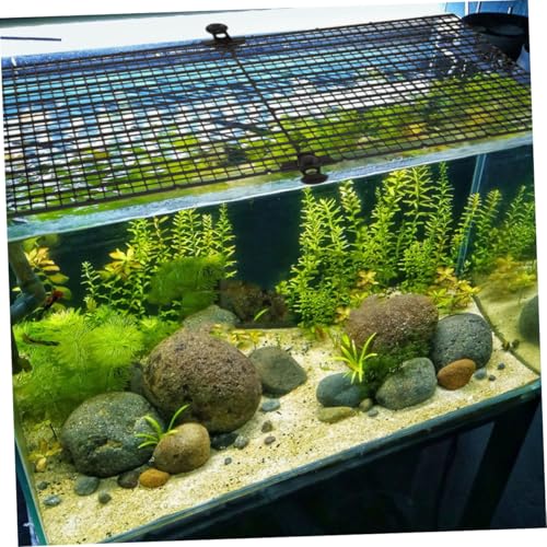 POPETPOP 4pcs Plastic Grid Aquarium Divider Panels for Betta Fish Safety Fish Separator Cups Prevents Jumping Various Tank