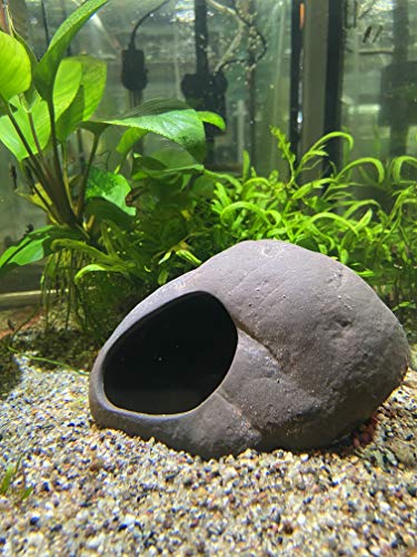 Plecoceramics Cichlid Stone Decoration - Aquarium cave for Cichlids, Betta, Small Fish - Fish Tank Hideway Decor - Betta Toys Hideout Stones House (Magma Stone Large)